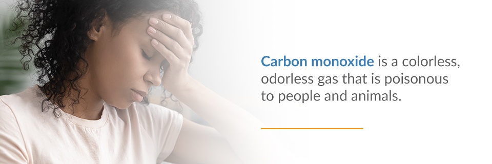 02-Carbon-Monoxide-Poisoning Carbon Monoxide Poisoning