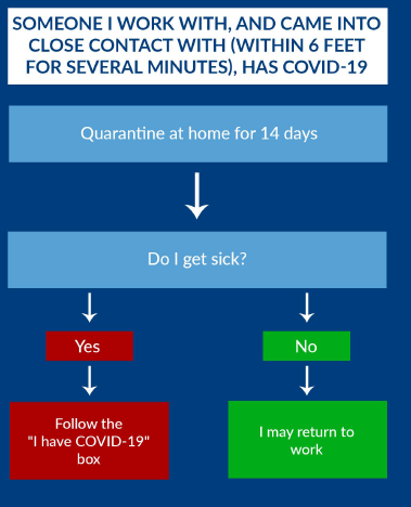 COVID flowchart