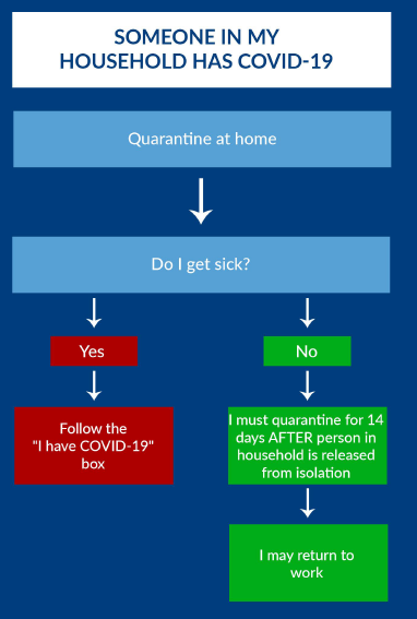 COVID flowchart