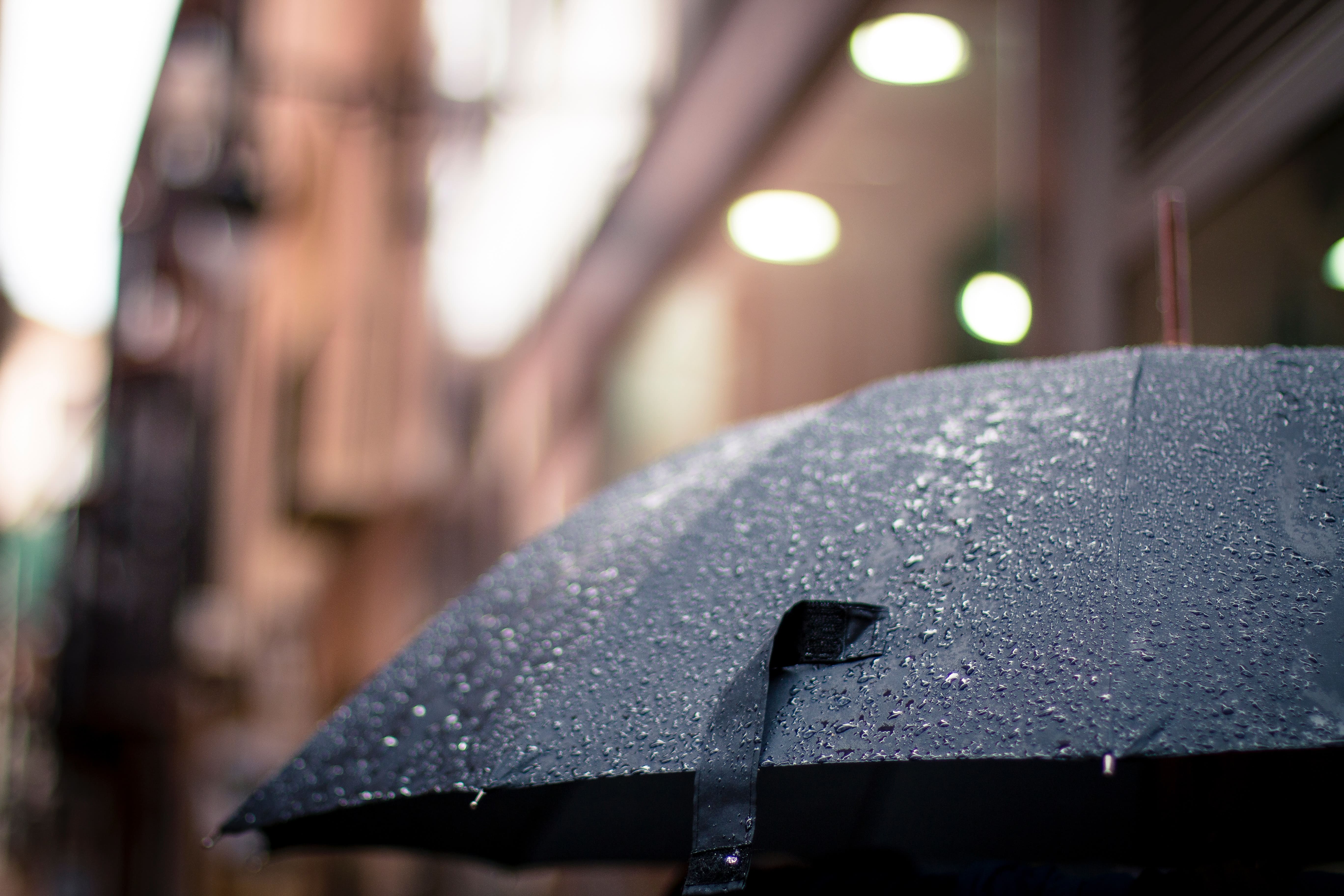 Rain falling on Umbrella